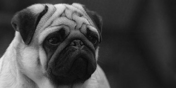 photo_three